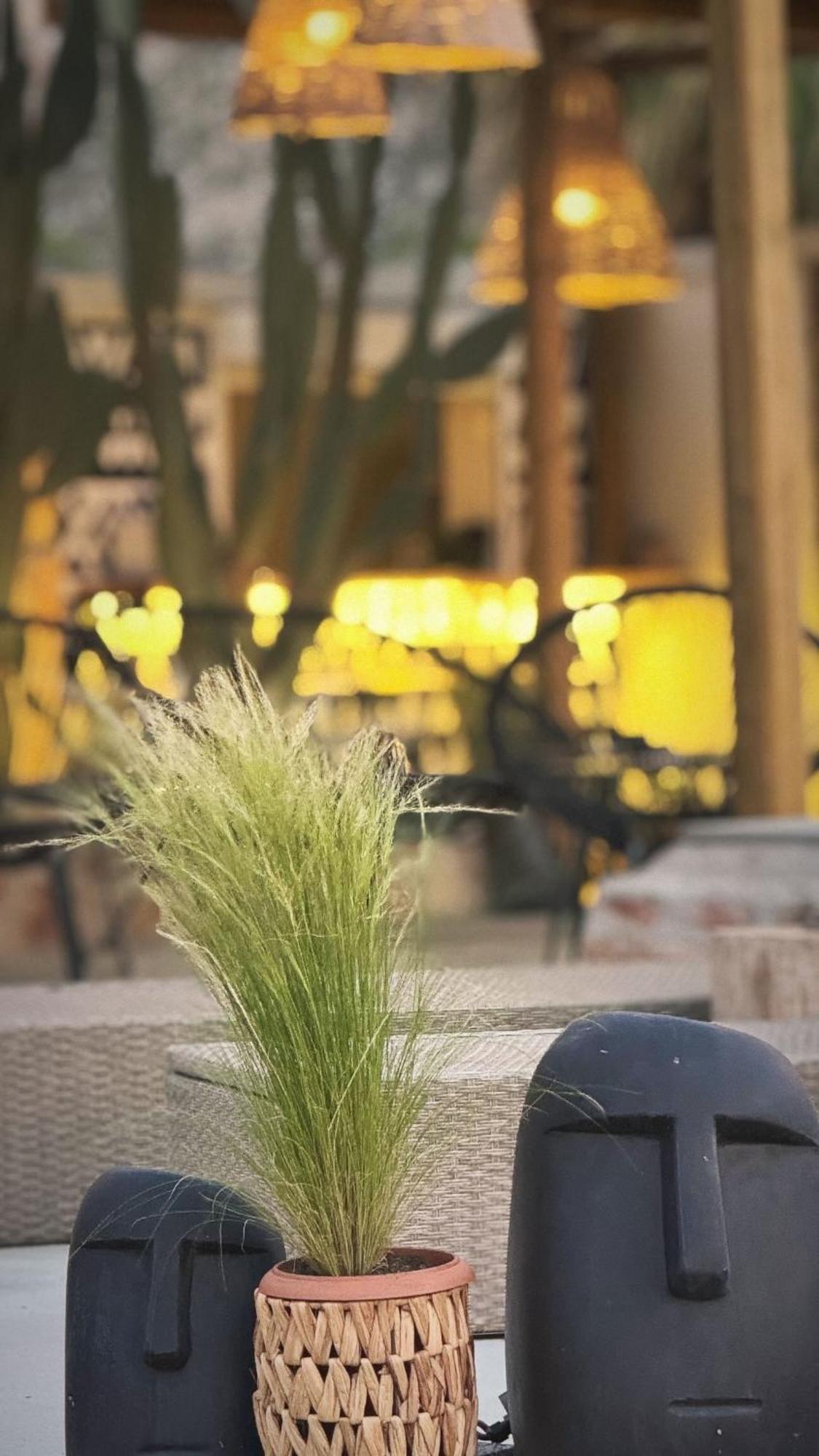 فيلا La Casa Di Lusso N4 - Adults Only كولومبيا المظهر الخارجي الصورة